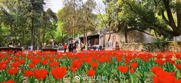 谈笑读报：张文宏：没接种疫苗的人会吃亏！武汉将确保…限高令”成了“稻草人”？(图7)