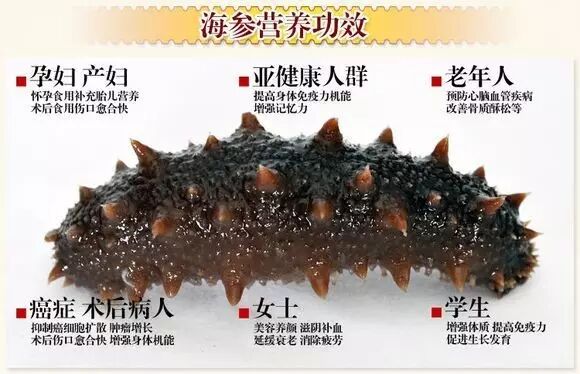 季节更迭，海参依然“守护”你！