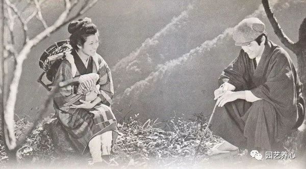 園藝療法| 櫻花與日本人的物哀文化心理 家居 第10張