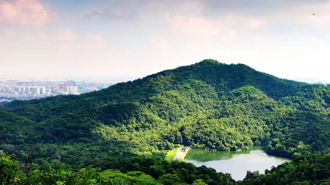 白云现房九龙仓央玺99㎡~196㎡，值不值得入手？