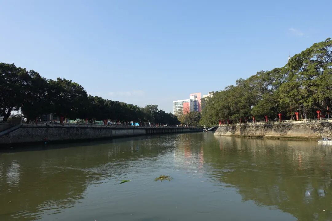 首次获得全区双第一祖庙街道水质和改善幅度获好成绩