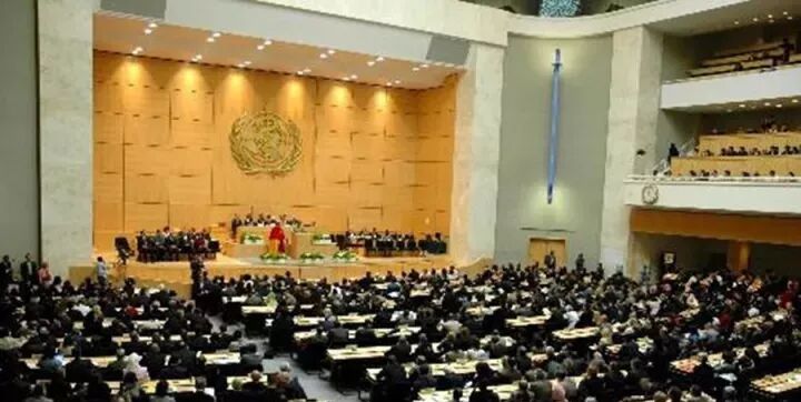 高压臭氧治疗什么高剂量高压臭氧自血疗法（HOT）“净化血液提高免疫”_https://www.jmylbn.com_新闻资讯_第5张