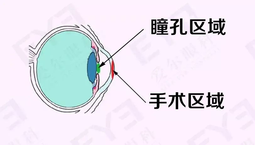 廣西錄取分數線2021高考_錄取分數廣西高考線是多少_廣西高考錄取分數線