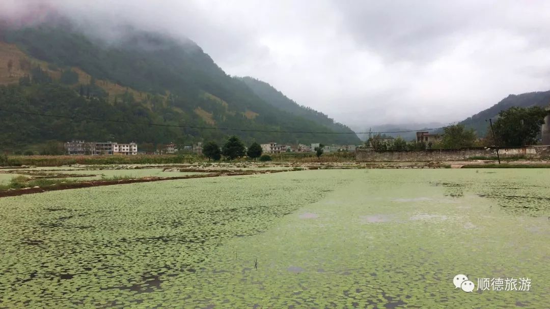 佛山有什么特产带回家_佛山特产_佛山特产门店