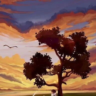 700分上不了清华，600分上不了郑大 | 我，一个607分的理科生，在高考第一大省感觉像「落榜」