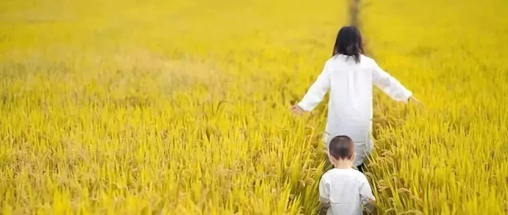 “我敲了1000个肚子的门，才找到妈妈”：看完瞬间泪奔！