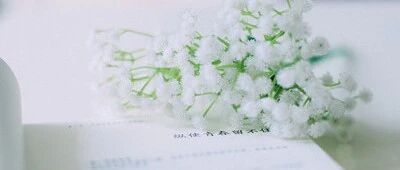 素材积累 | 东野圭吾经典金句，若能记住，作文格调再提一个档次！