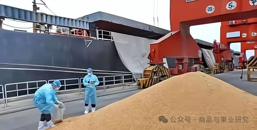 短期豆粕大幅拉升，什么套路？