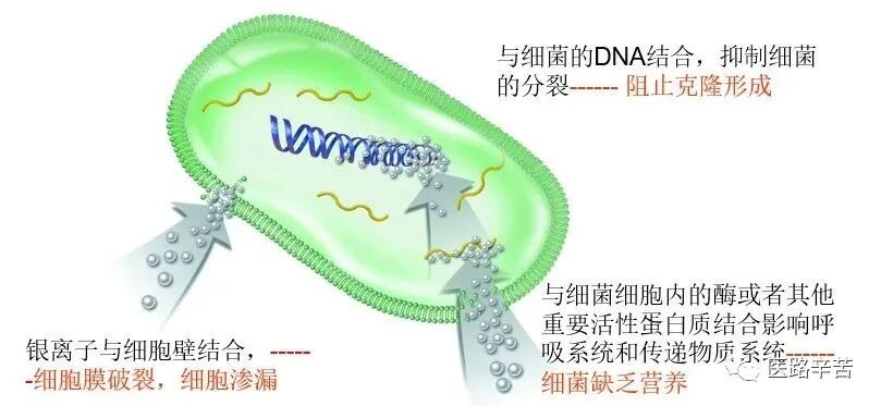 伤口贴敷料为什么伤口敷料的分类与选择技巧_https://www.jmylbn.com_新闻资讯_第18张