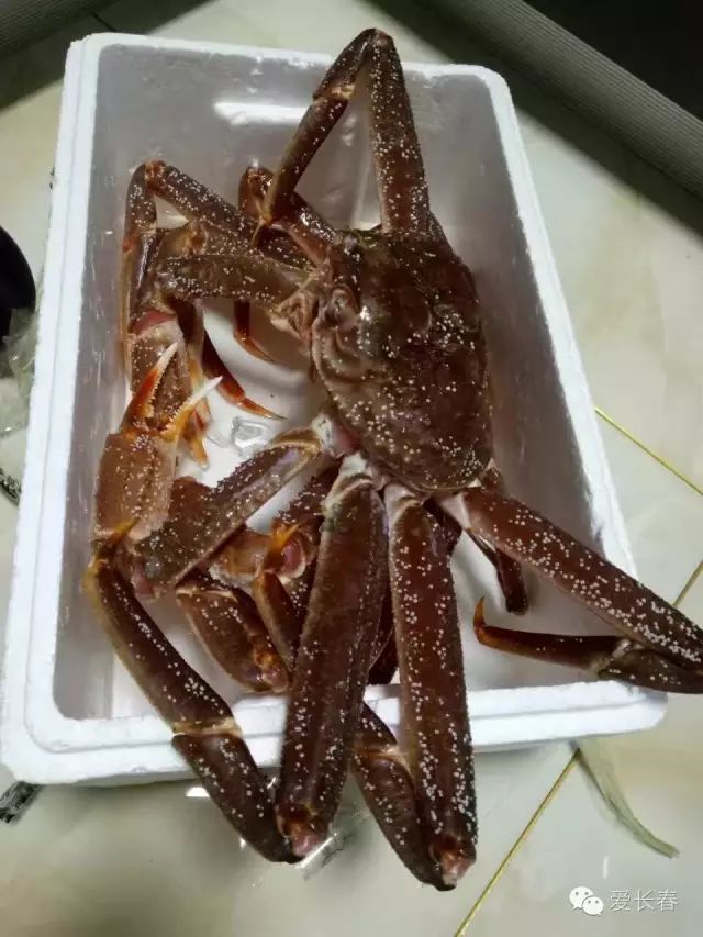 一大波肥美肉厚的朝鲜板蟹,毛蟹等你捧回家!