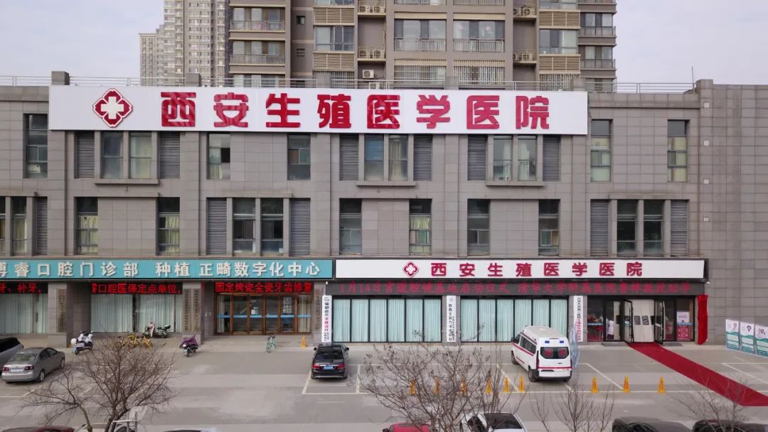 北京助孕妈妈_北京助孕联系方式_北京助孕