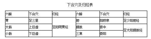 “合治内腑”，根治六腑病的下合穴，疗效甚佳！ - 第2张