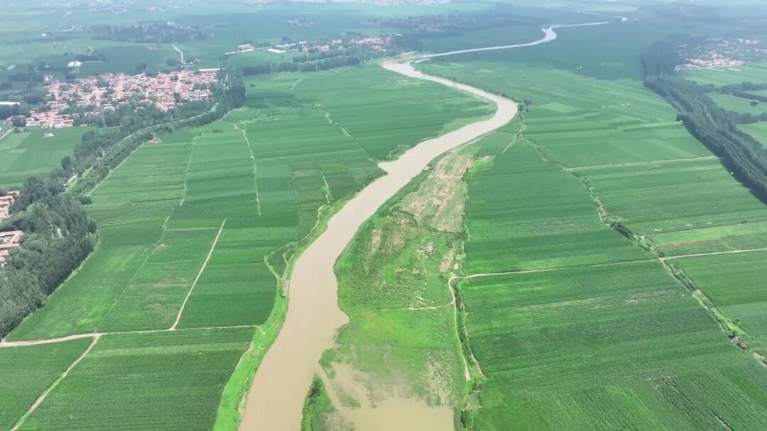 冠县干群合力筑牢漳卫河防汛安全堤