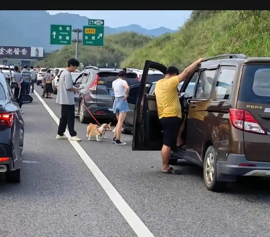高速堵车 外国美女被投喂火锅