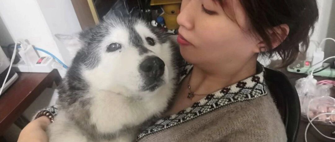 17岁雪橇犬含泪等主人回家，只为见他最后一面……