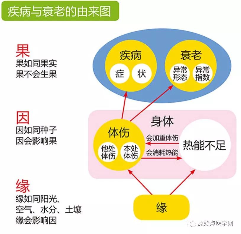 论异常 原始点专题讲解 原始点医学网 微信公众号文章阅读 Wemp