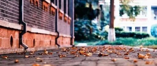 上大学有什么用？这是最好的答案！