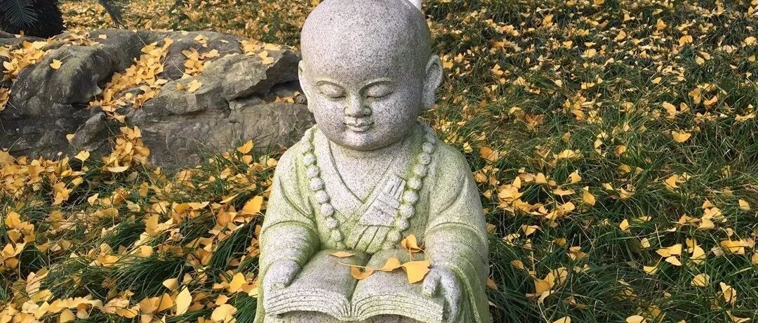 “命苦之人，一看便知”，命苦之人张口闭口都是这4句话，别不信。