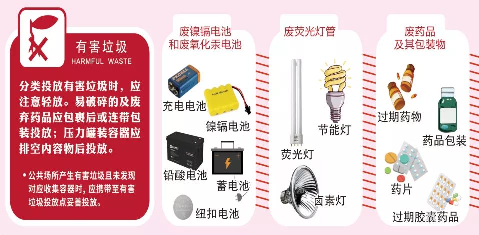 美麗西安，垃圾分類|天目在行動(圖12)