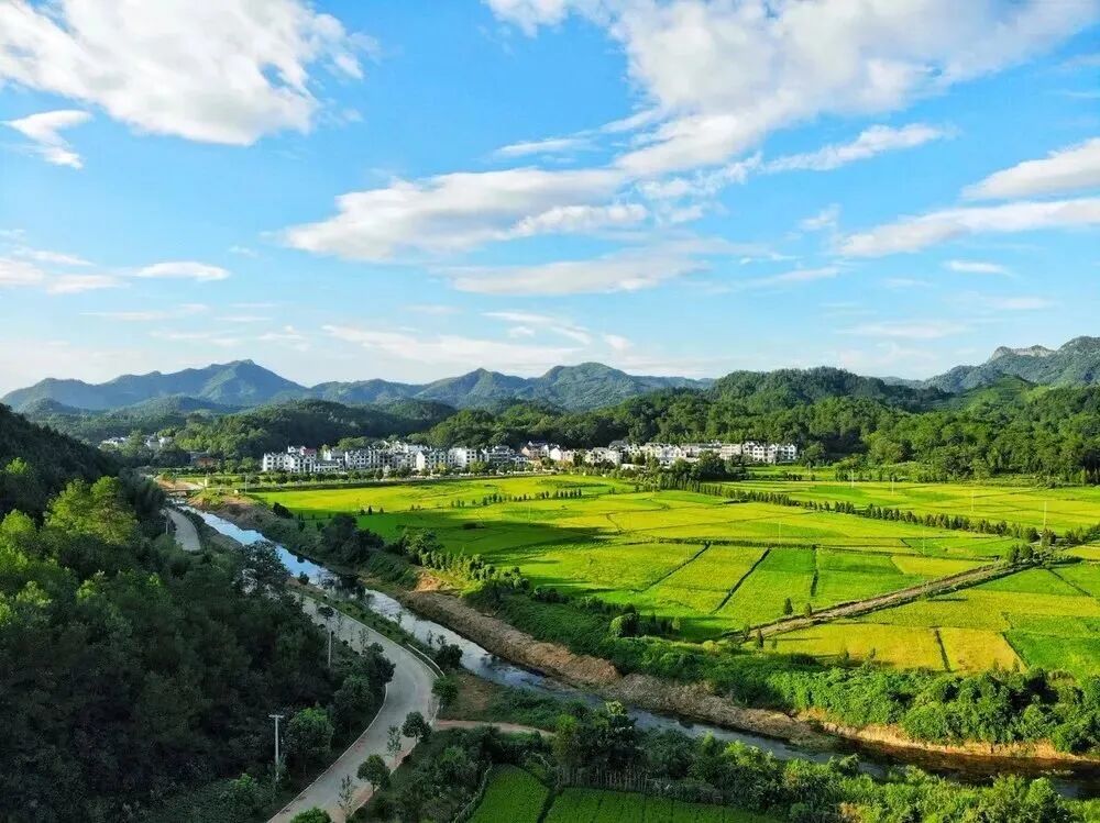乡镇动态丨近日漆工镇,港口镇做了这些工作~ - 弋阳县人民政府
