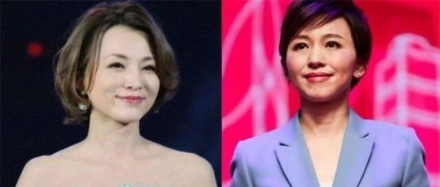 央视主持人大合唱！董卿与欧阳夏丹去哪里了