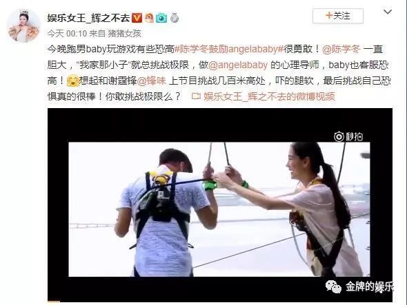 楊穎不敢在獨木橋上翻跟鬥，究竟是真懼怕照舊有心演的 娛樂 第16張