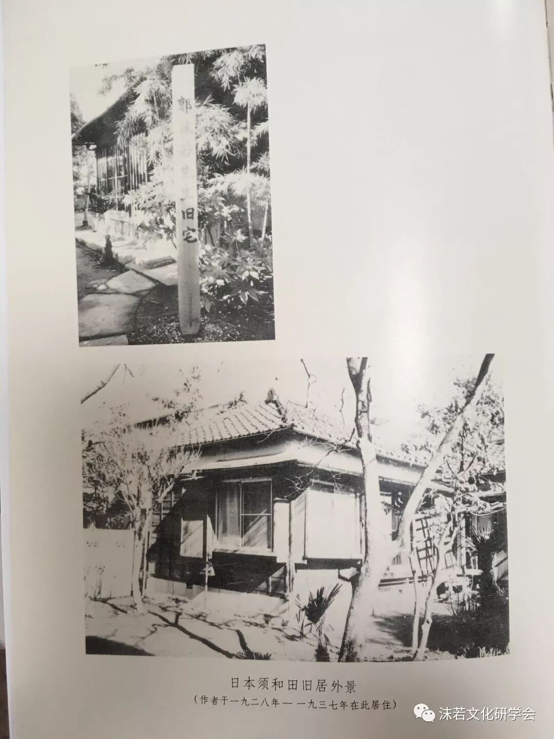 郭沫若的甲骨文研究 沫若文化研学会 微信公众号文章阅读 Wemp