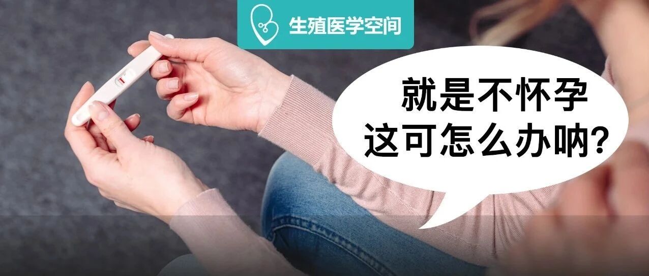监测排卵好几个月，就是不怀孕！到底怎么办？