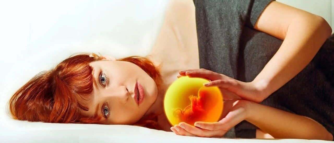 “这到底是怀没？” 早孕期的小夫妻，闹的乌龙可太多了！