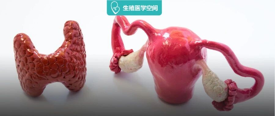 年仅27岁就要跟生娃绝缘？明白这4点卵巢还有救！