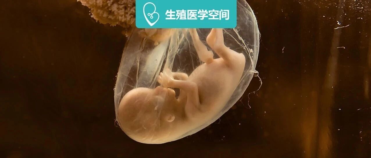 一连怀孕4次，胎儿都患先心病！备孕夫妻怎么避免胎儿出生缺陷？
