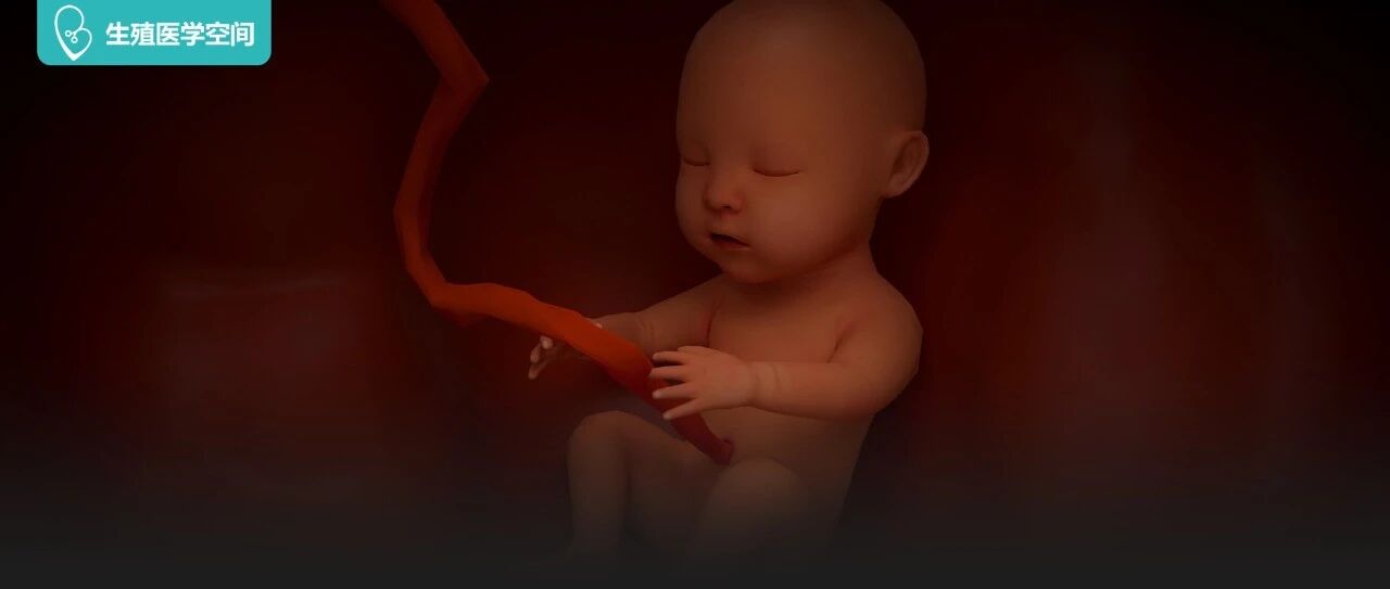 你的胚胎宝宝寄来的一封信，请查收！