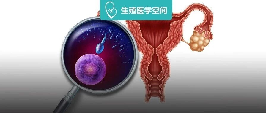 一直没怀上是卵泡发育不良? 那该怎么调理？