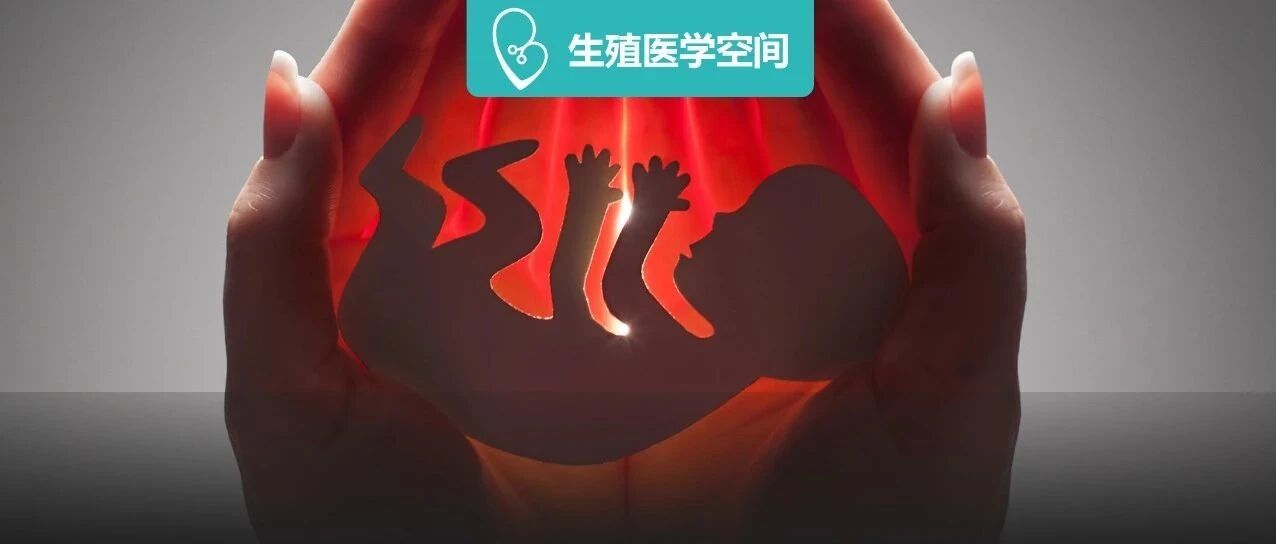 出现胎心胎芽还会胎停？这4个高风险因素不可不防！