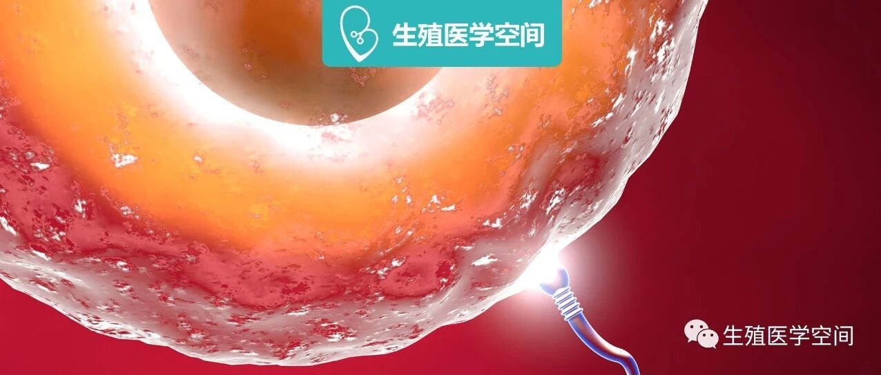 3点导致卵泡发育不良的因素，怎么治疗才能早日好孕？