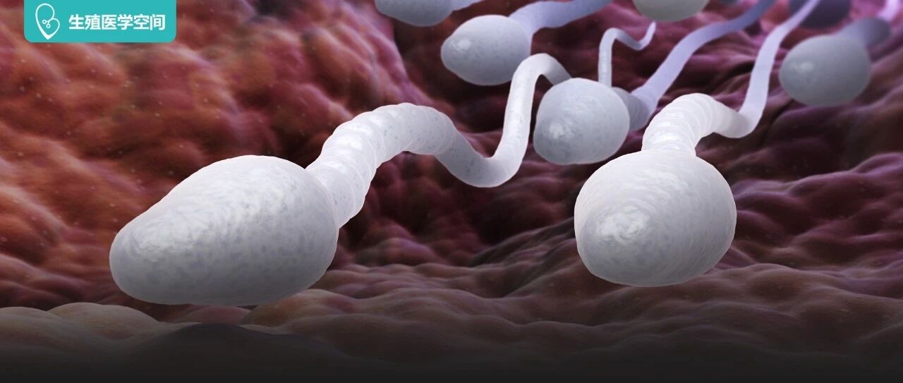 这7种行为最伤精杀精！想怀孕就少做！