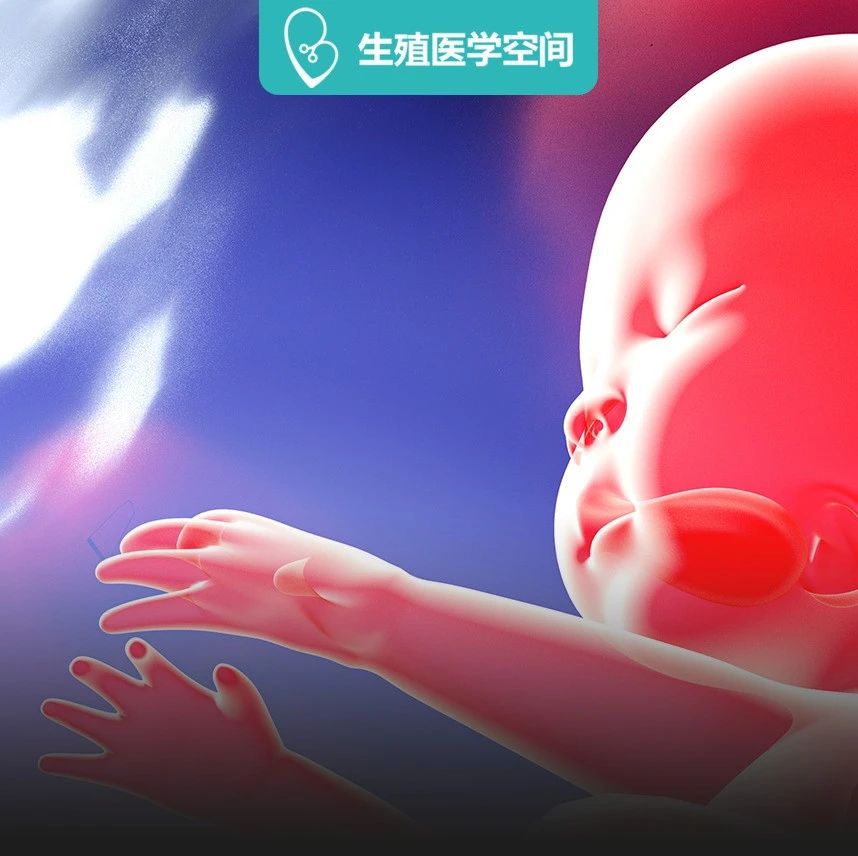 害怕自己胎停育？7个降低胎停发生率的方法要牢记！