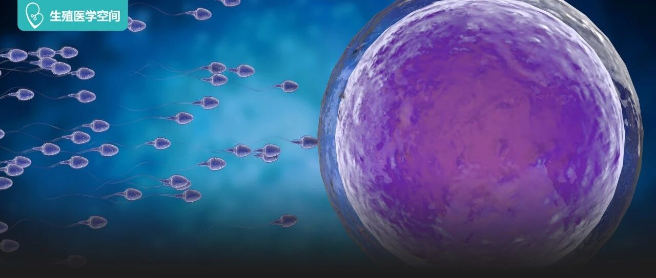 如何养出好子宫、好卵子？这些文章讲全了！