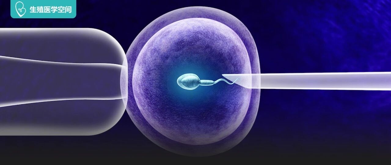 试管婴儿1代、2代、3代、4代哪个最好？这里有关于试管婴儿的全部文章！