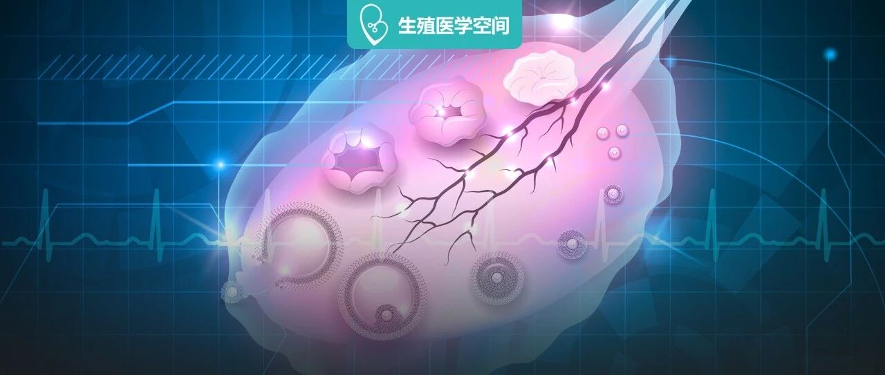 性激素六项的第 1 项升高，对卵巢的影响太大了！