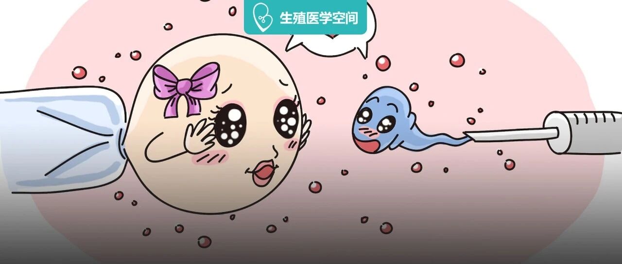 生殖专家建议：试管移植后，这样休养对胚胎着床更有利！