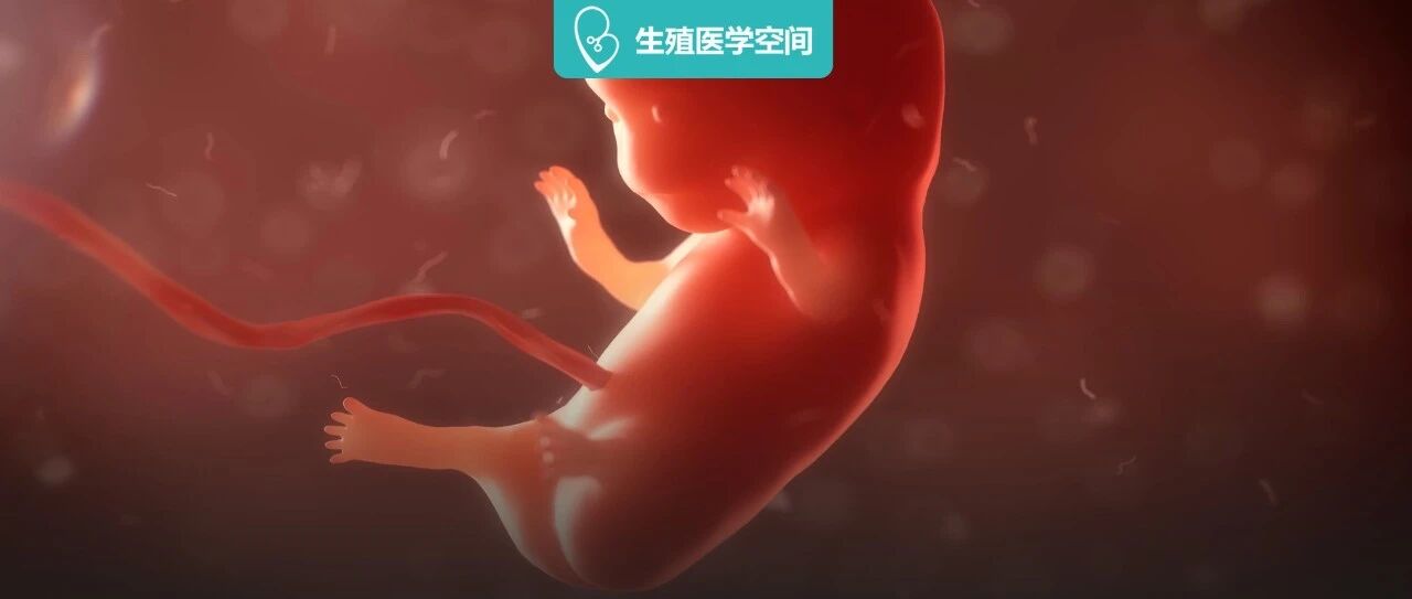 孕后这三个月最危险？妇科医生的12条锦囊，帮你安全度过孕早期！