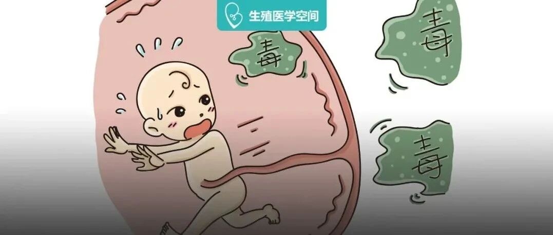 胚胎最怕这些事，怀孕期间不要做！