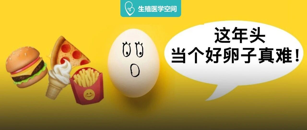 伤害卵子的4个生活习惯，你绝对中了！