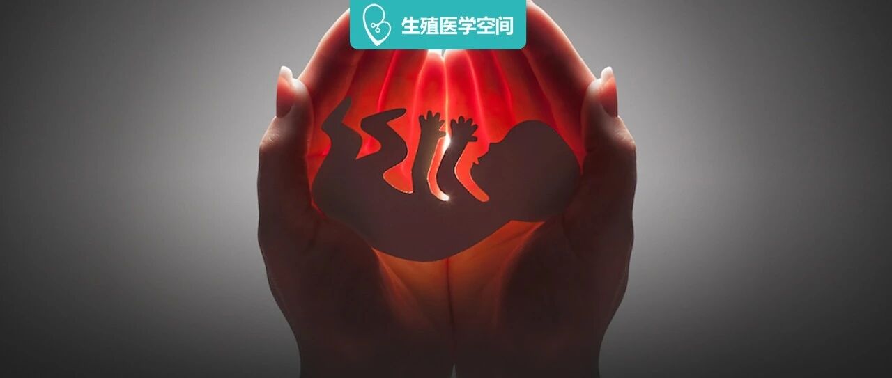 出现胎心胎芽还会胎停？这4个高风险因素不可不防！