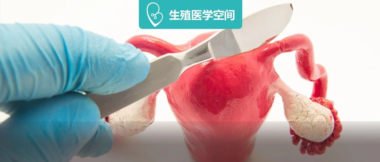 输卵管堵塞也分级？难怀孕是第几级？