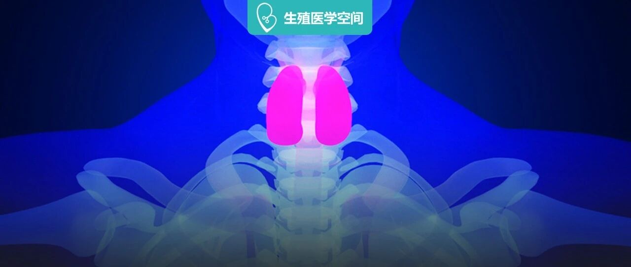 明明就20g重，凭啥影响女性怀孕和胎儿智力？