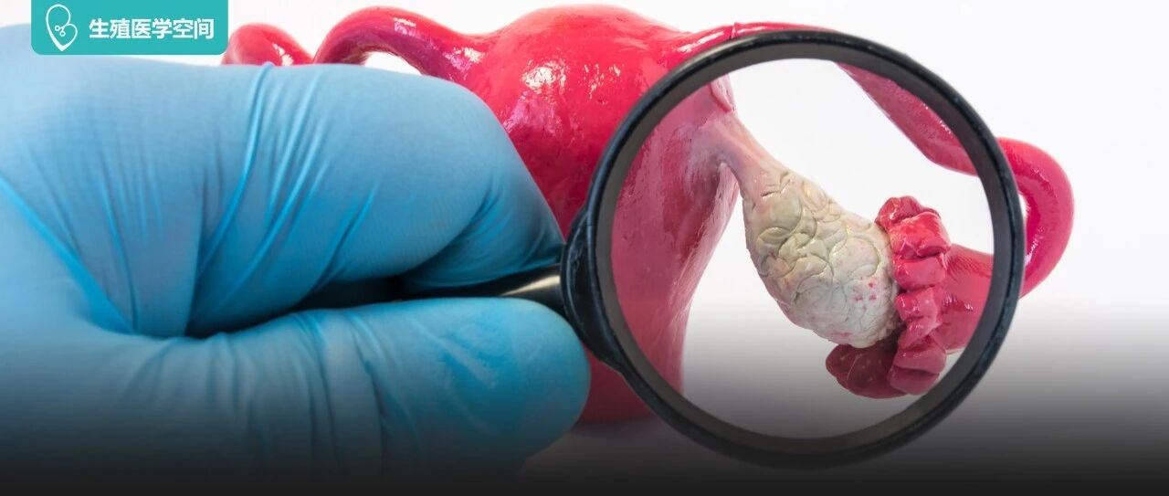 有月经≠会排卵，这些女性不容易排卵！