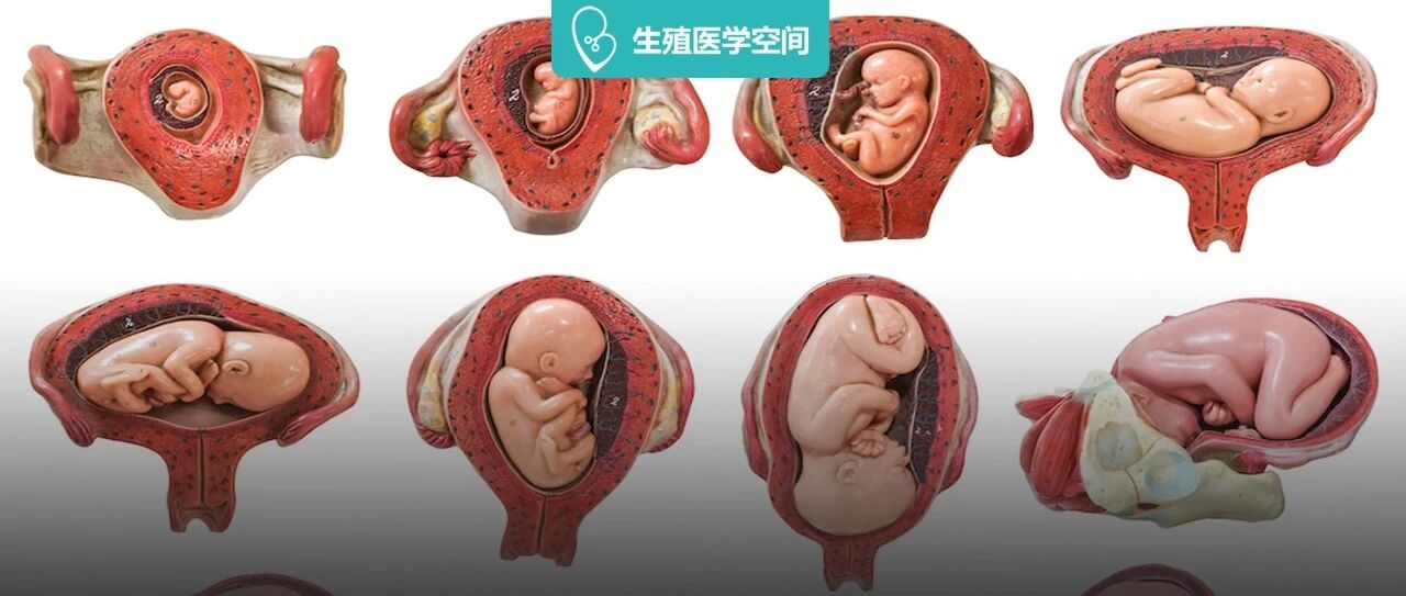 生孩子也TM太痛痛痛痛苦了吧！！