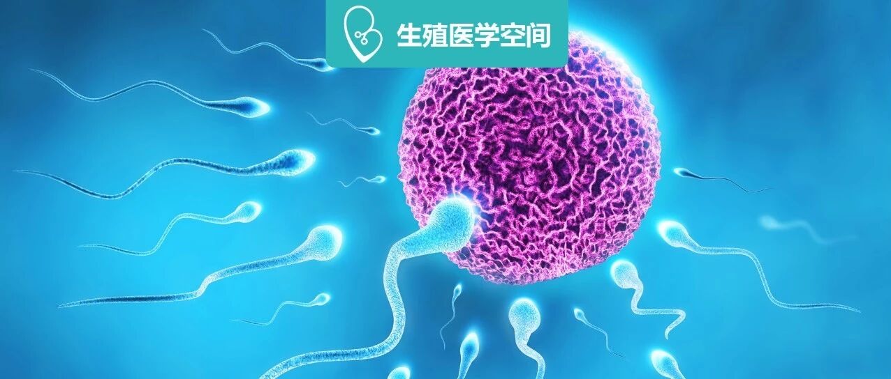 多囊姐妹最怕的两个问题，容易导致不孕和流产！